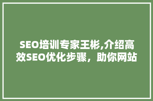 SEO培训专家王彬,介绍高效SEO优化步骤，助你网站排名一路飙升