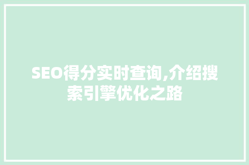 SEO得分实时查询,介绍搜索引擎优化之路