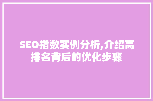 SEO指数实例分析,介绍高排名背后的优化步骤