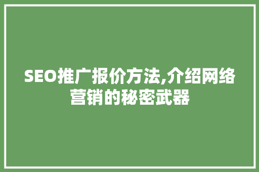 SEO推广报价方法,介绍网络营销的秘密武器