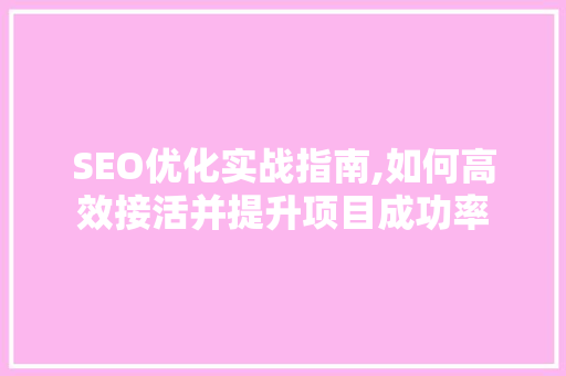 SEO优化实战指南,如何高效接活并提升项目成功率