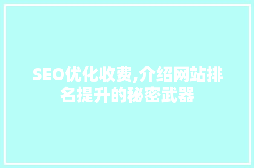 SEO优化收费,介绍网站排名提升的秘密武器