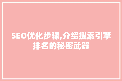 SEO优化步骤,介绍搜索引擎排名的秘密武器
