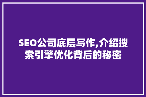 SEO公司底层写作,介绍搜索引擎优化背后的秘密