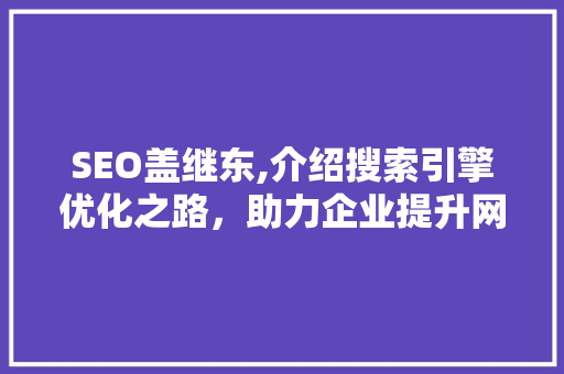 SEO盖继东,介绍搜索引擎优化之路，助力企业提升网络竞争力