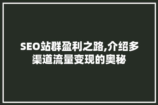 SEO站群盈利之路,介绍多渠道流量变现的奥秘