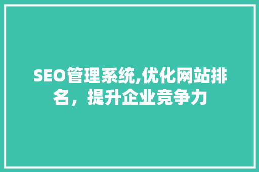 SEO管理系统,优化网站排名，提升企业竞争力