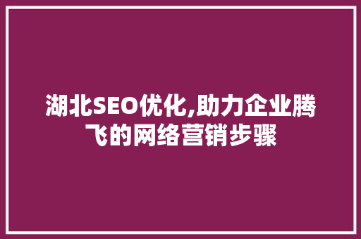 湖北SEO优化,助力企业腾飞的网络营销步骤