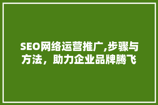 SEO网络运营推广,步骤与方法，助力企业品牌腾飞