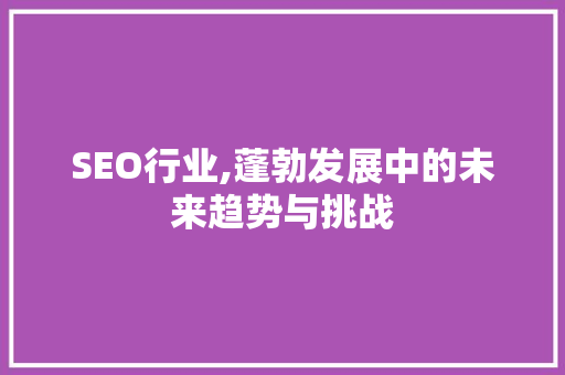 SEO行业,蓬勃发展中的未来趋势与挑战