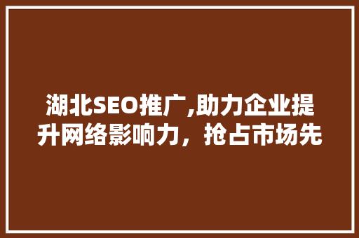 湖北SEO推广,助力企业提升网络影响力，抢占市场先机  第1张