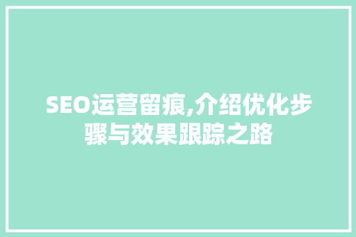 SEO运营留痕,介绍优化步骤与效果跟踪之路