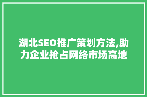 湖北SEO推广策划方法,助力企业抢占网络市场高地