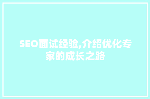SEO面试经验,介绍优化专家的成长之路