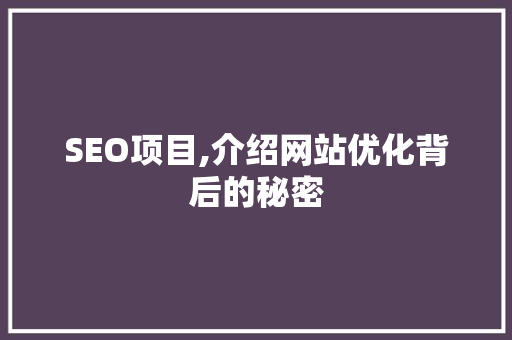 SEO项目,介绍网站优化背后的秘密