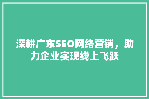 深耕广东SEO网络营销，助力企业实现线上飞跃