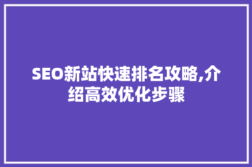 SEO新站快速排名攻略,介绍高效优化步骤