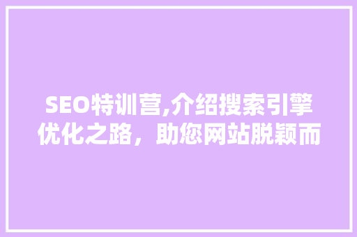 SEO特训营,介绍搜索引擎优化之路，助您网站脱颖而出