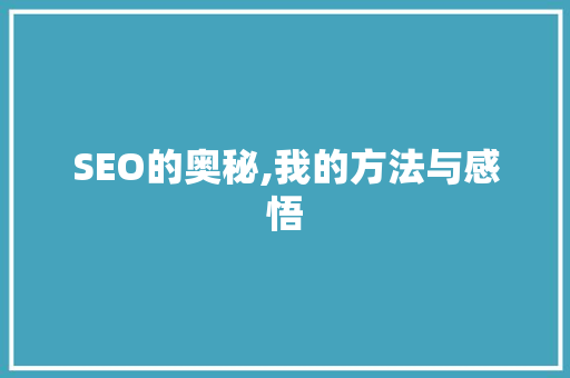 SEO的奥秘,我的方法与感悟