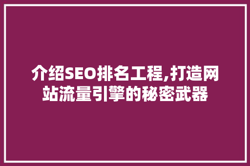 介绍SEO排名工程,打造网站流量引擎的秘密武器