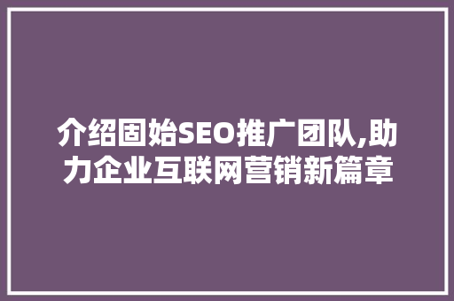 介绍固始SEO推广团队,助力企业互联网营销新篇章