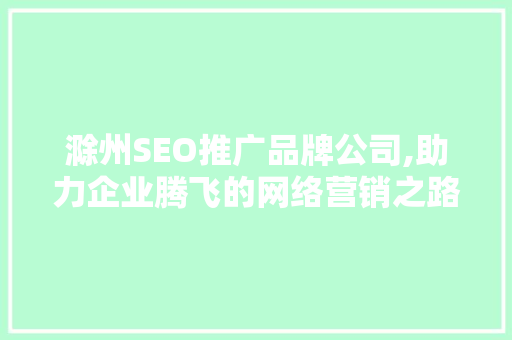 滁州SEO推广品牌公司,助力企业腾飞的网络营销之路
