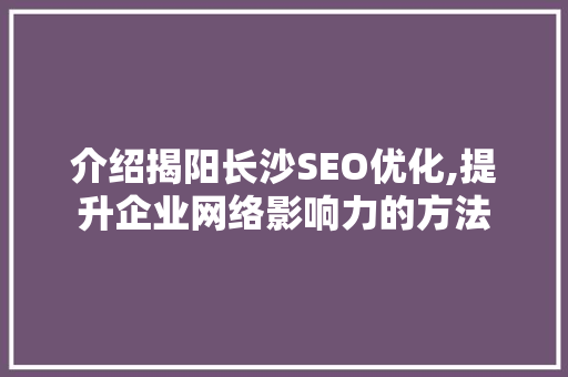 介绍揭阳长沙SEO优化,提升企业网络影响力的方法