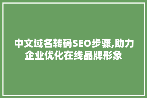 中文域名转码SEO步骤,助力企业优化在线品牌形象