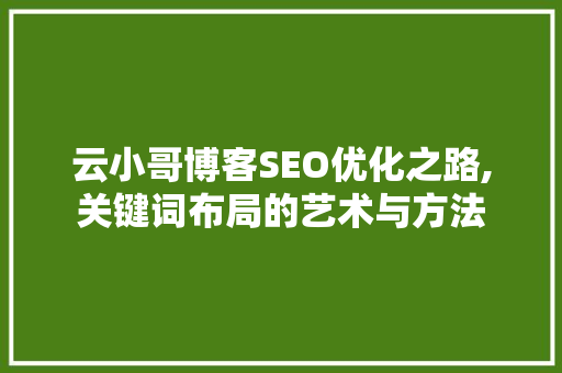 云小哥博客SEO优化之路,关键词布局的艺术与方法