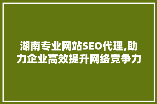 湖南专业网站SEO代理,助力企业高效提升网络竞争力  第1张