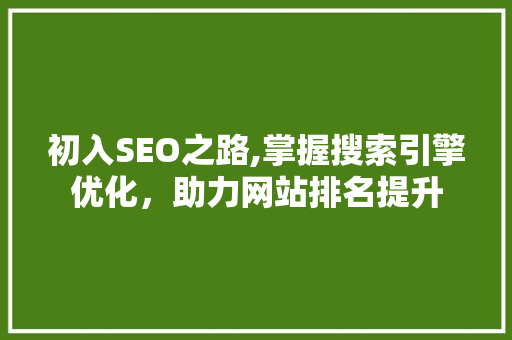 初入SEO之路,掌握搜索引擎优化，助力网站排名提升