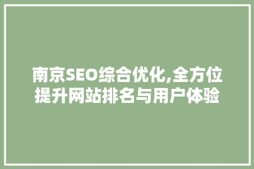 南京SEO综合优化,全方位提升网站排名与用户体验