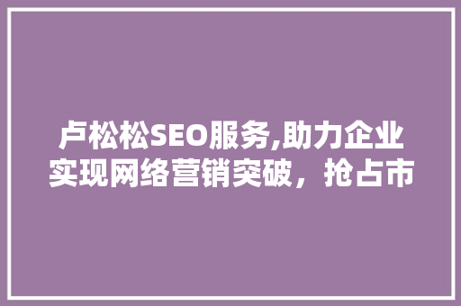 卢松松SEO服务,助力企业实现网络营销突破，抢占市场先机
