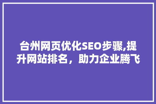 台州网页优化SEO步骤,提升网站排名，助力企业腾飞