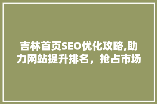 吉林首页SEO优化攻略,助力网站提升排名，抢占市场先机