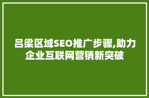 吕梁区域SEO推广步骤,助力企业互联网营销新突破
