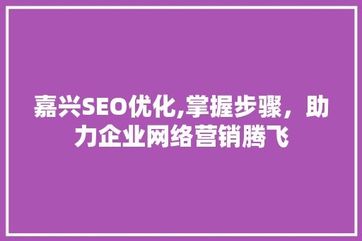 嘉兴SEO优化,掌握步骤，助力企业网络营销腾飞