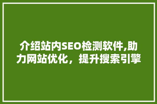 介绍站内SEO检测软件,助力网站优化，提升搜索引擎排名