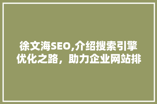 徐文海SEO,介绍搜索引擎优化之路，助力企业网站排名飙升