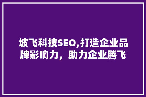 坡飞科技SEO,打造企业品牌影响力，助力企业腾飞