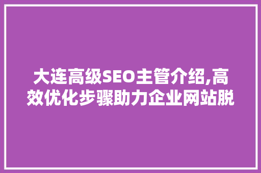 大连高级SEO主管介绍,高效优化步骤助力企业网站脱颖而出