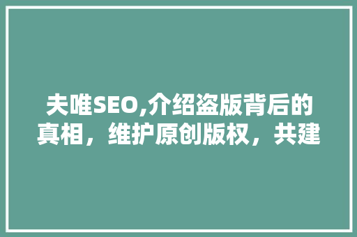 夫唯SEO,介绍盗版背后的真相，维护原创版权，共建绿色网络生态