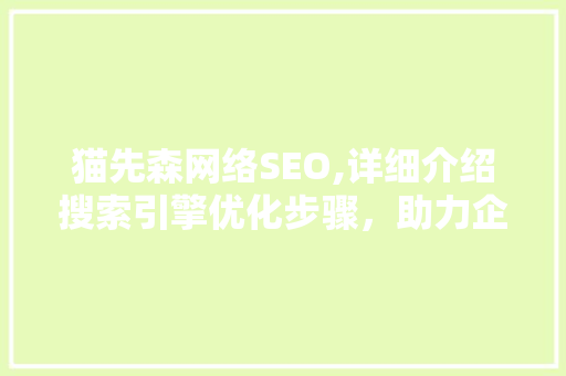 猫先森网络SEO,详细介绍搜索引擎优化步骤，助力企业互联网营销