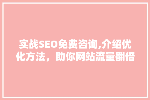 实战SEO免费咨询,介绍优化方法，助你网站流量翻倍