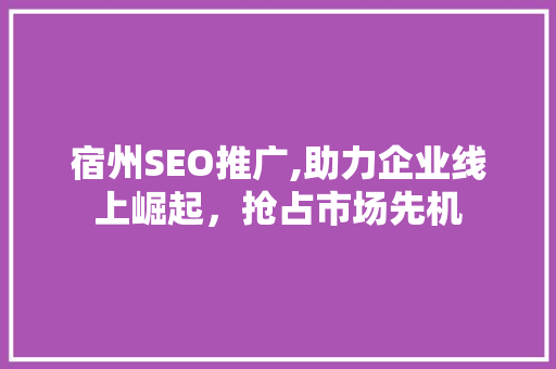宿州SEO推广,助力企业线上崛起，抢占市场先机