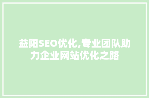 益阳SEO优化,专业团队助力企业网站优化之路  第1张