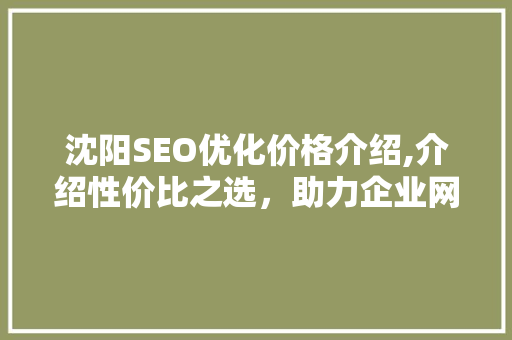 沈阳SEO优化价格介绍,介绍性价比之选，助力企业网站提升流量