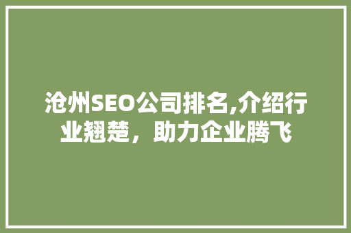 沧州SEO公司排名,介绍行业翘楚，助力企业腾飞