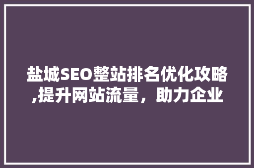 盐城SEO整站排名优化攻略,提升网站流量，助力企业腾飞
