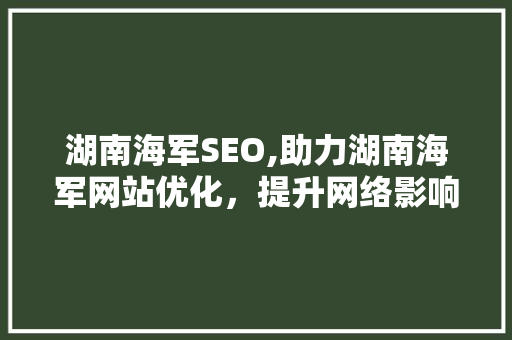 湖南海军SEO,助力湖南海军网站优化，提升网络影响力